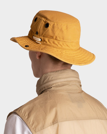#colour_gold