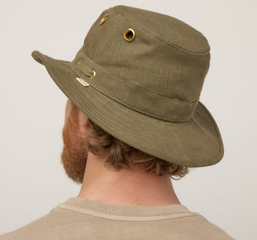 #colour_olive