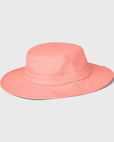 #colour_coral
