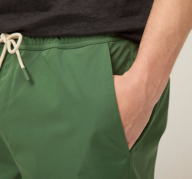 #colour_dark-green