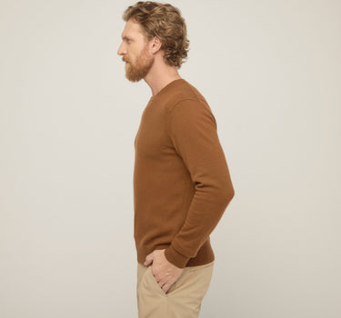 #colour_brown