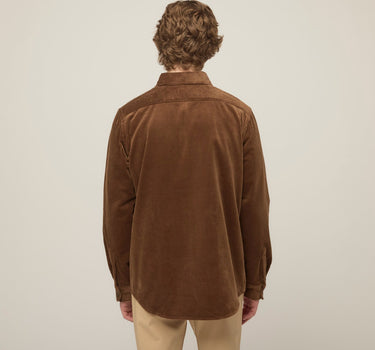 #colour_brown