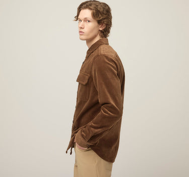 #colour_brown