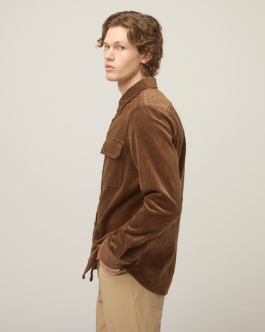 #colour_brown