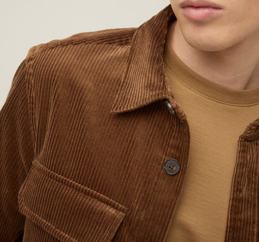 #colour_brown