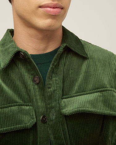 #colour_dark-green