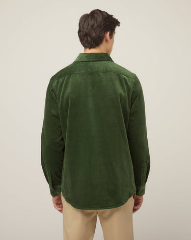 #colour_dark-green
