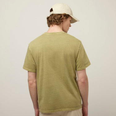 #colour_fresh-straw
