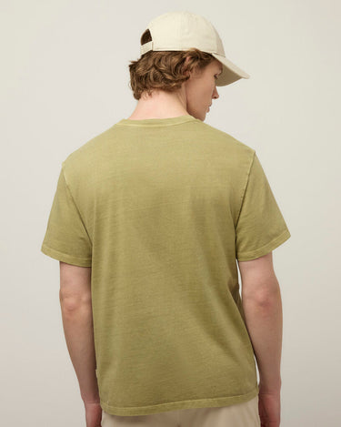 #colour_fresh-straw