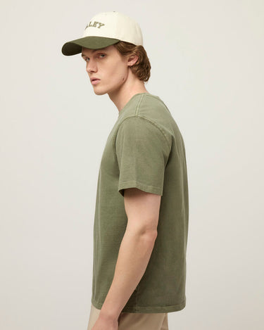 #colour_thyme-green