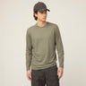 #colour_thyme-green