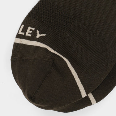 #colour_brown-safari-tan