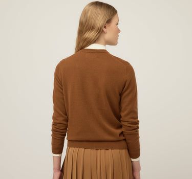 #colour_brown
