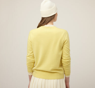 #colour_iced-lemon