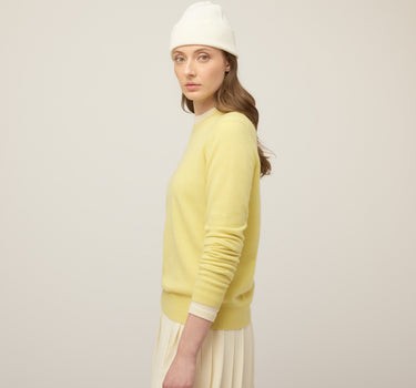 #colour_iced-lemon