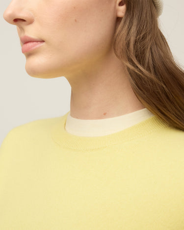 #colour_iced-lemon