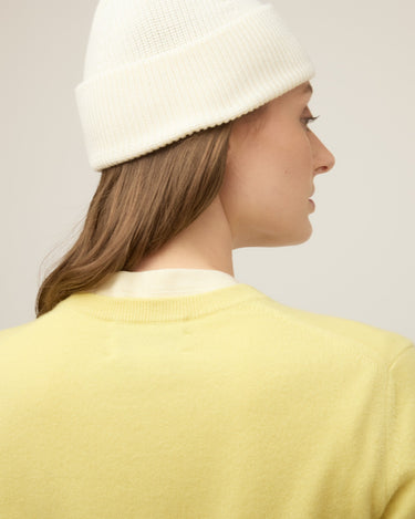 #colour_iced-lemon