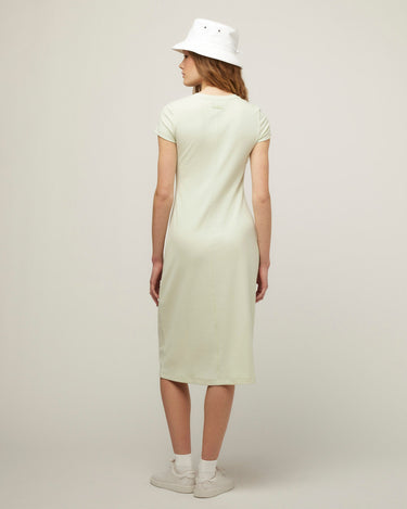 #colour_pale-mint