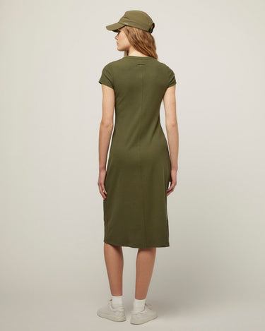 #colour_thyme-green