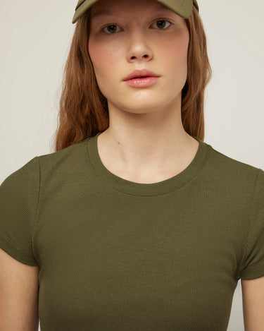 #colour_thyme-green
