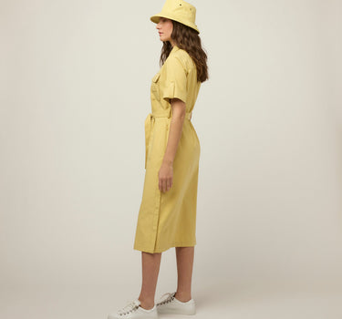 #colour_lemongrass