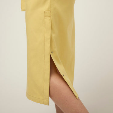 #colour_lemongrass