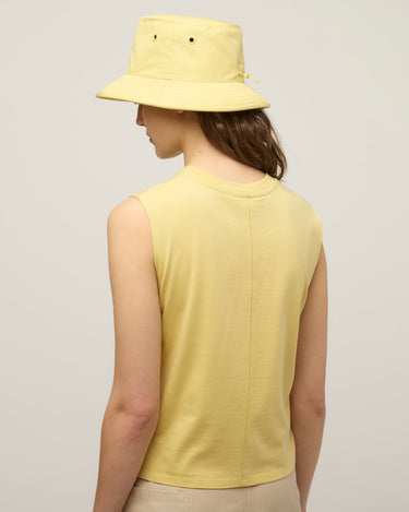 #colour_lemongrass