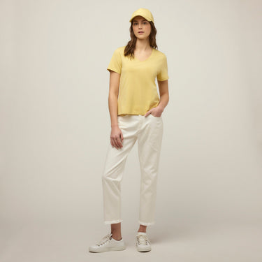 #colour_lemongrass
