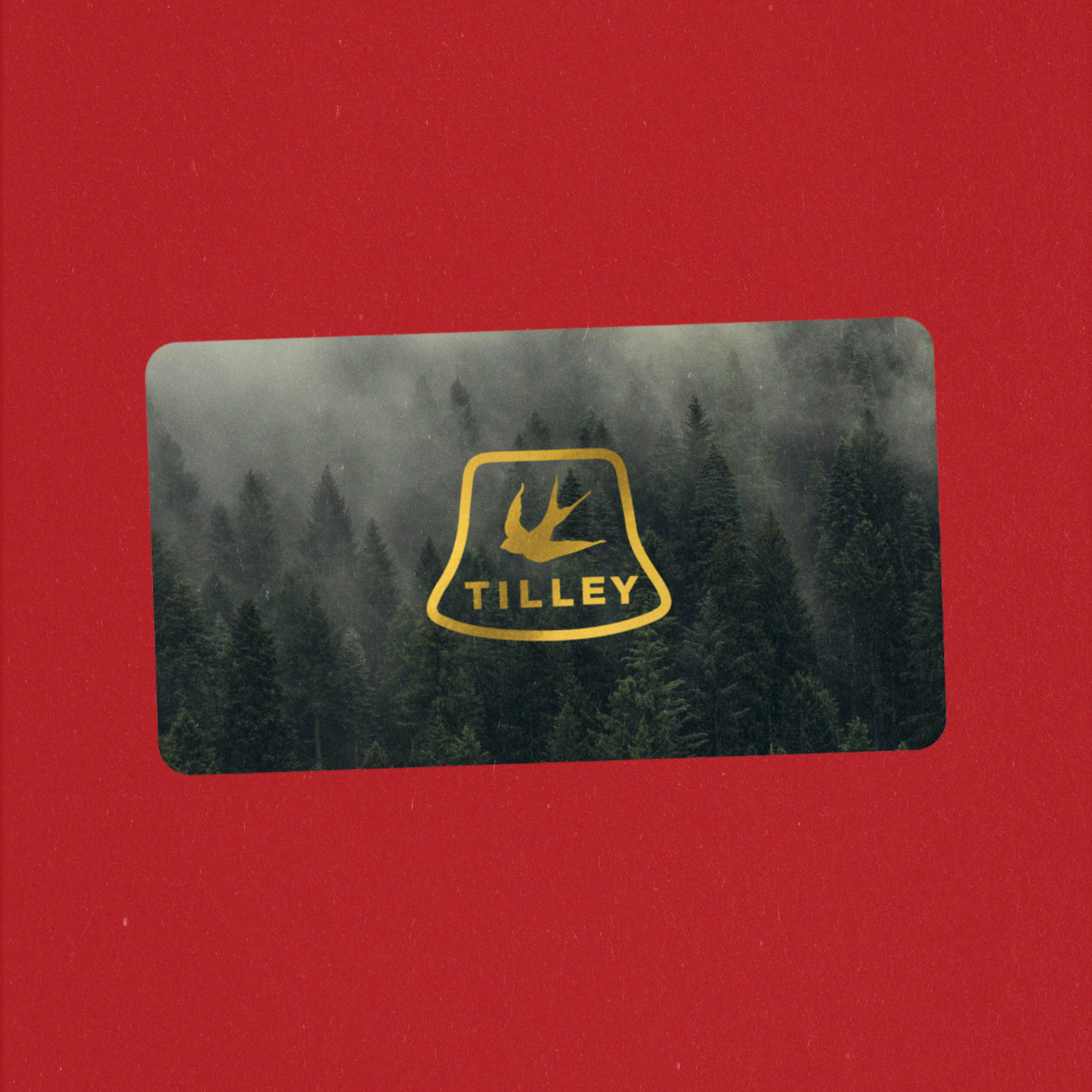 gift-card_77c93526-ed84-412f-b1d8-ad2204b2ec85