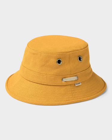 #colour_golden-yellow