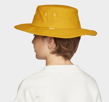 #colour_gold