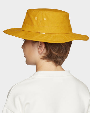 #colour_gold