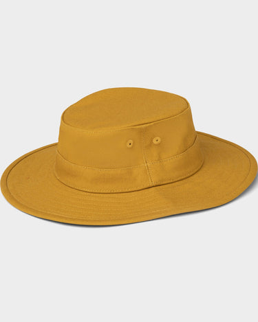 #colour_gold