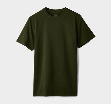 #colour_khaki-green