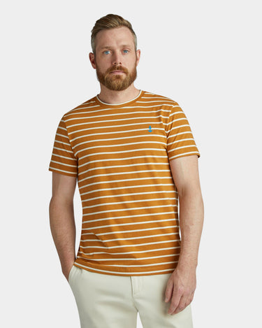 #colour_ochre