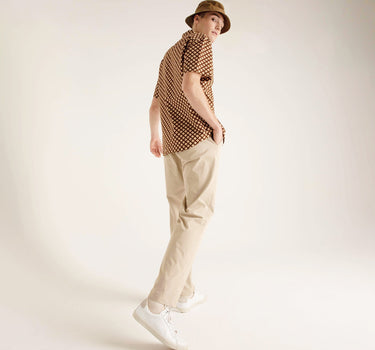 #colour_brown-geo