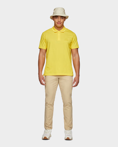 #colour_citrus-yellow