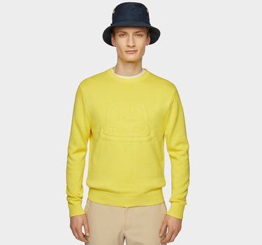 #colour_citrus-yellow