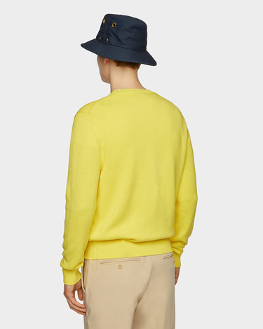 #colour_citrus-yellow