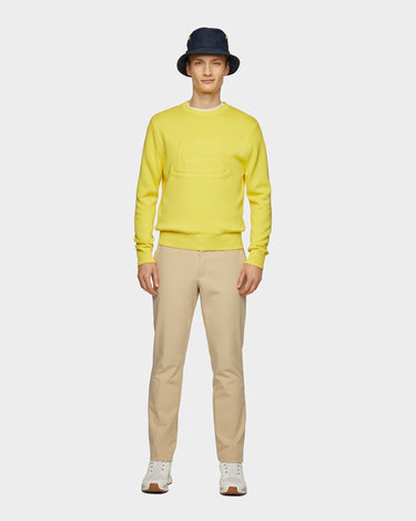 #colour_citrus-yellow