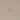 #colour_safari-tan